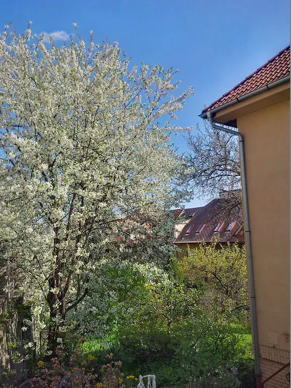 Ferienwohnung The Garden In The City Prag 0*,  Tschechische Republik